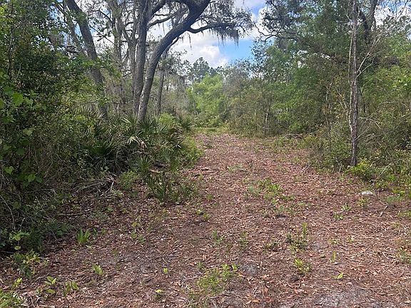 3rd image of 0000 Jody Morgan Rd