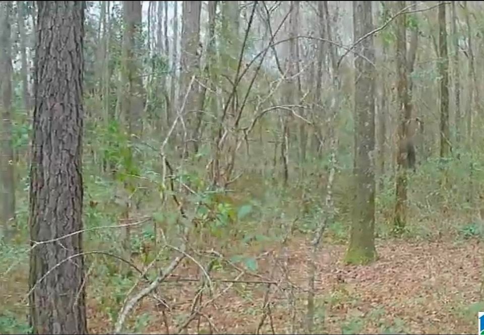 2nd image of 0 Lane Rd #0