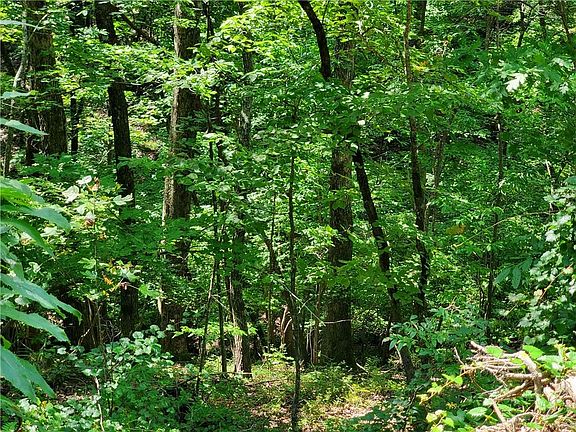 3rd image of 0 Asbury Mill Rd