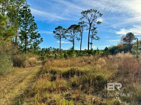 0 Greek Cemetery Rd, Robertsdale, AL 36567