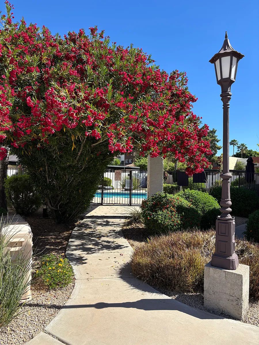 Community Pool - 5624 E Kelton Ln