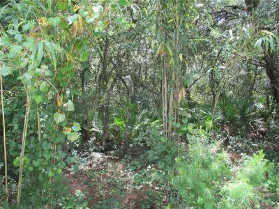 4th Avenue, Deland, FL, 32720