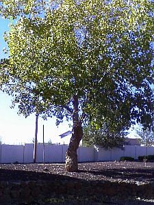 4th image of 230 S 13 W #2136