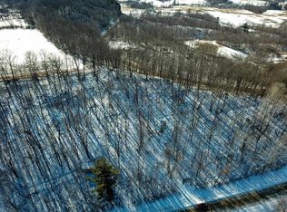 Wachlin Rd, Wonewoc, WI 53968