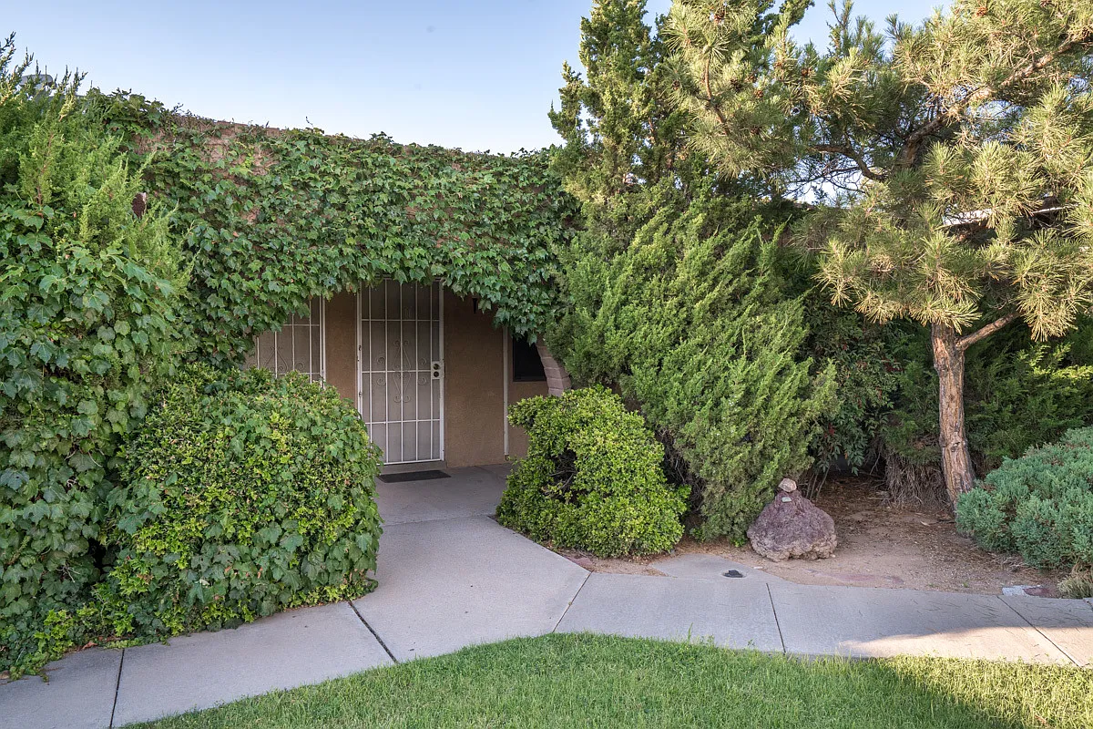 North Campus Unm Law School 1 Bedroom 1 Bath — Photo 2