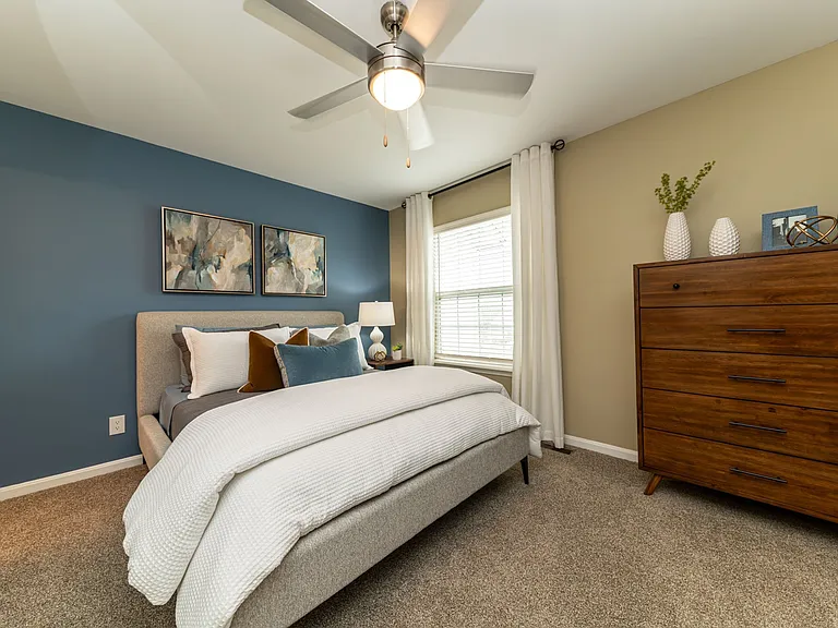 Cozy bedroom with carpet