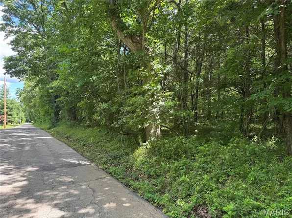0 Old Saint Louis Rd, Valles Mines, MO 63087