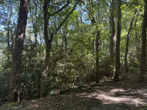 Tbd Crooked White Oak Trl, Hillsville, VA 24343