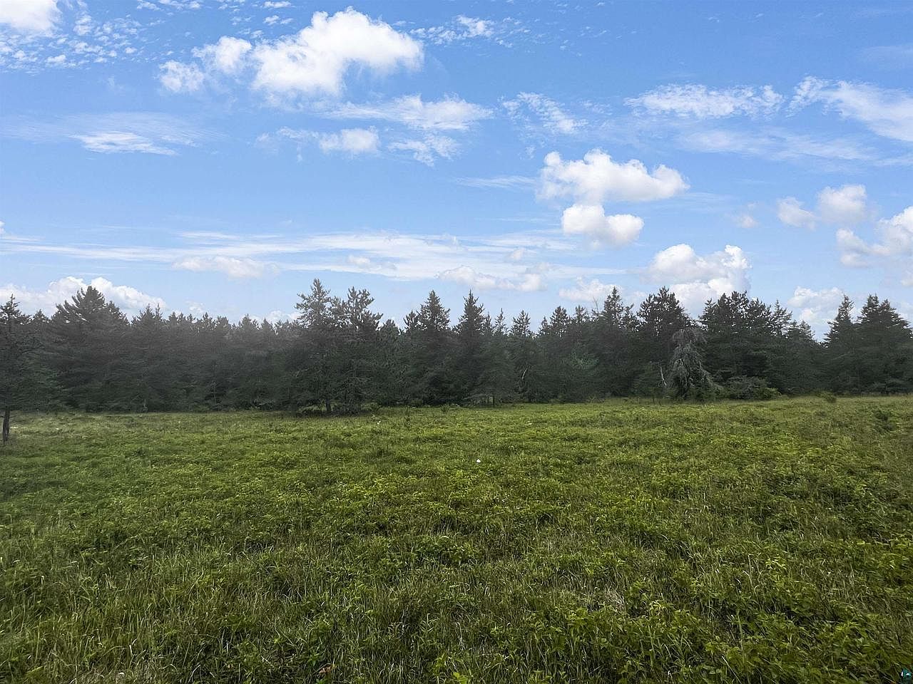 xxxx Hazel Prairie Rd, Lake Nebagamon, WI 54849 Zillow