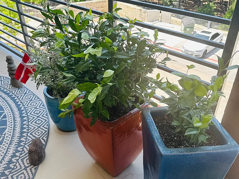 Balcony