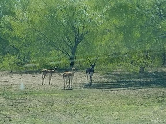 4th image of 20701 Highway 186