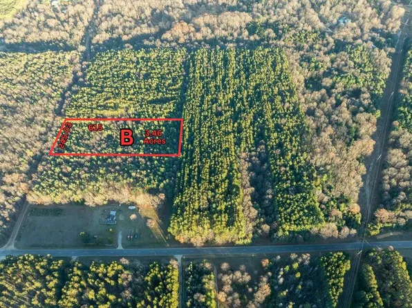 PARCEL W Scout Rd #B, Mears, MI 49436