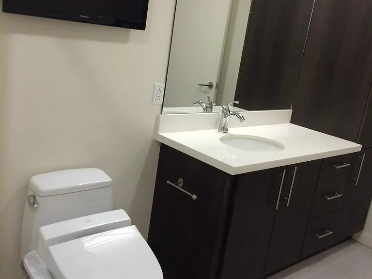 TOTO Washlet, LCD TV, high vanities