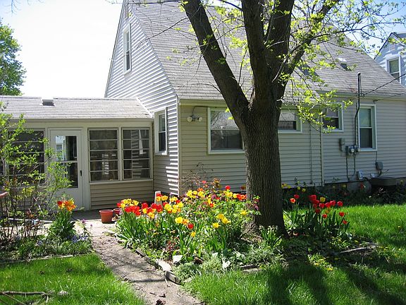 Park-like backyard