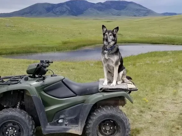 Nhn Hill School Rd, Chester, MT 59522