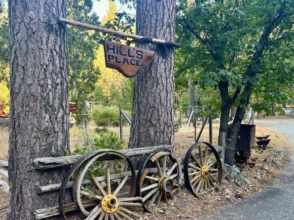 108 Wild Plum Rd, Sierra City, CA 96125