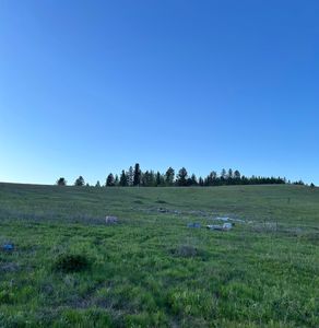 117XX E Tallman Rd, Chattaroy, WA, 99003