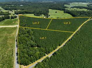 State Highway 42 Lot 1, Goldston, NC 27252