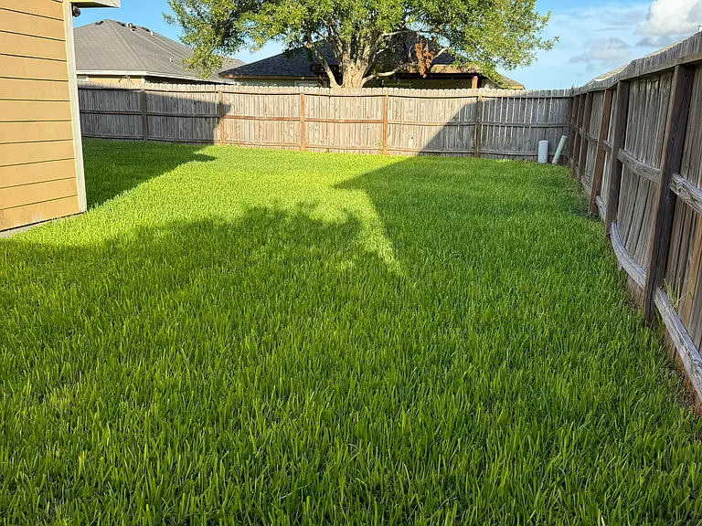 2305 Star Glow Dr — Photo 11