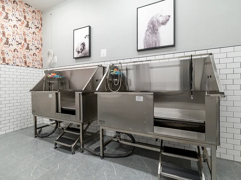 Posh Dog spa, Give your pet their best life!