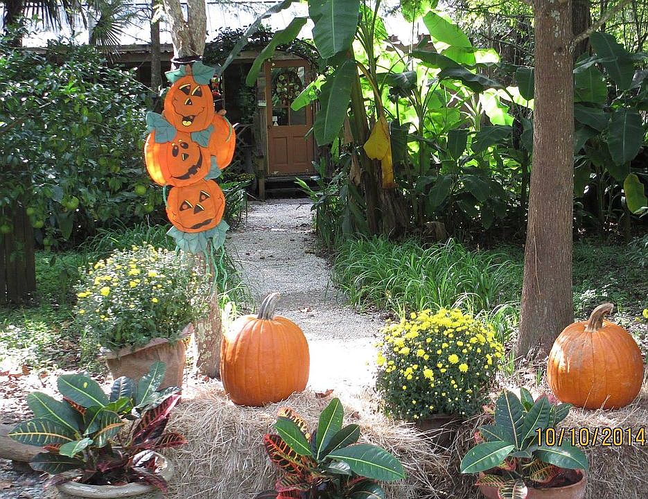 Halloween in the Atchafalaya