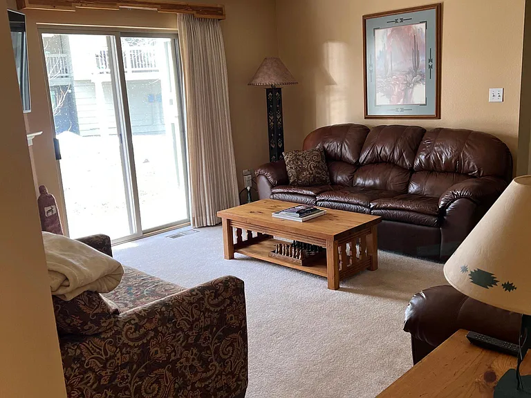 living room with sleeper sofa