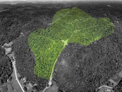 325 Cubb Ln, Gainesboro, TN, 38562