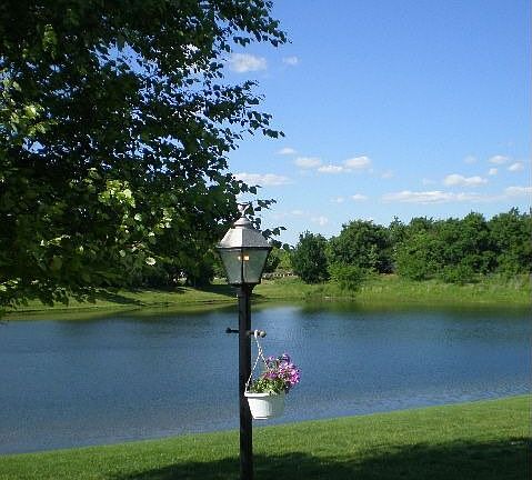 Sides to lake with tranquil views!