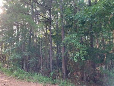 Nhn Stockton, Gautier, MS, 39553