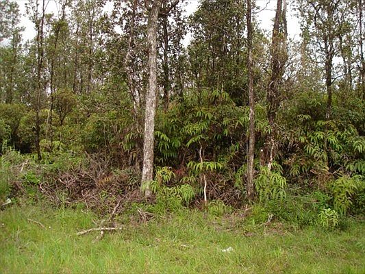 2nd image of Pukalani Dr