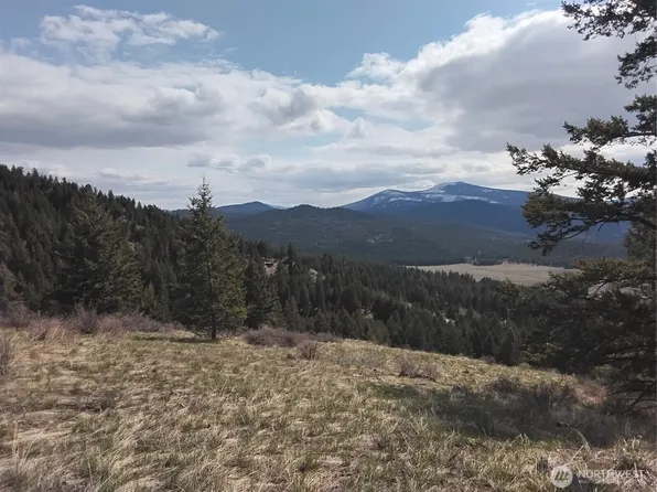 26 Mule Deer Ridge Road, Oroville, WA 98844