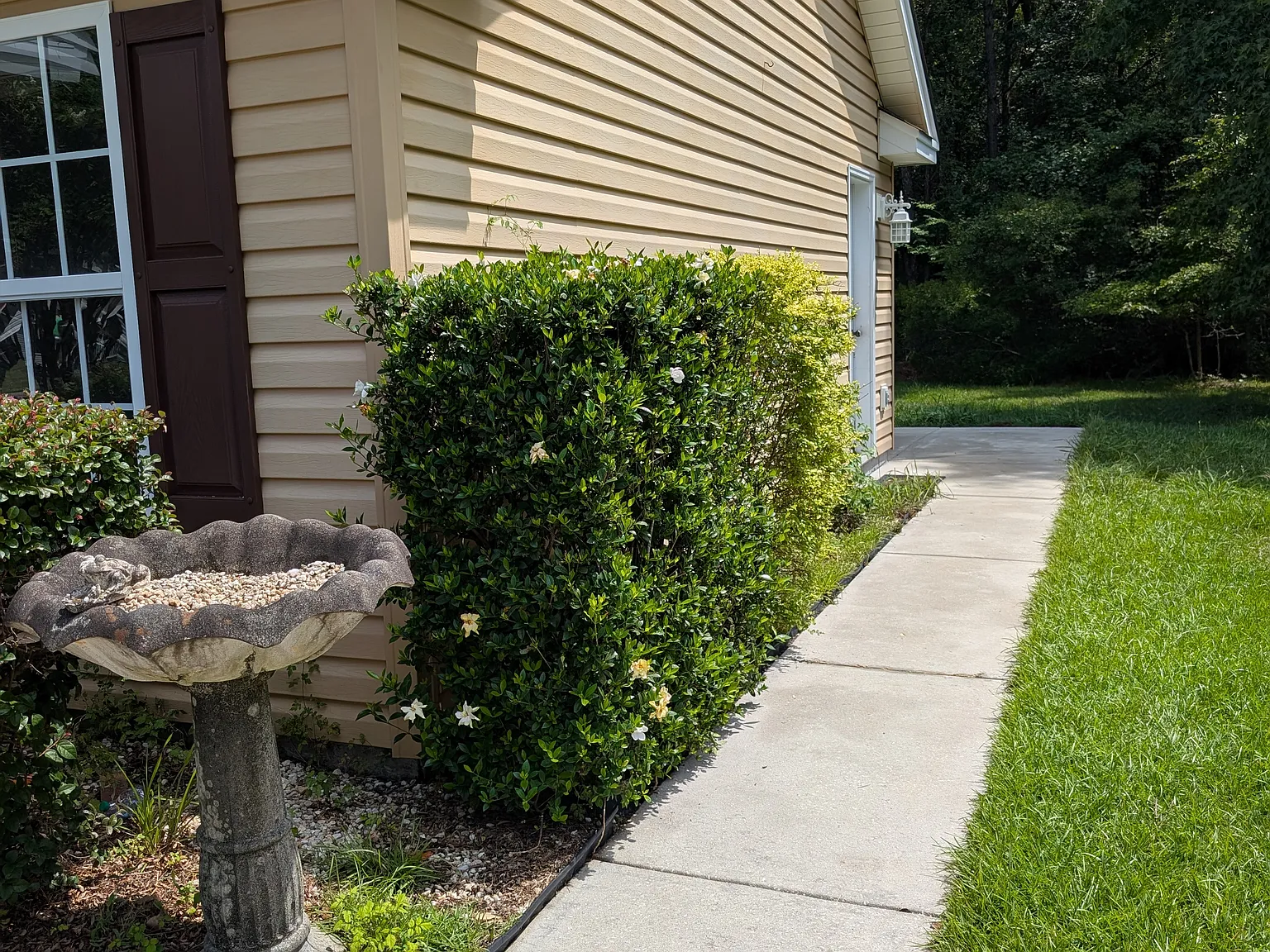 1849 Athens Dr — Photo 2