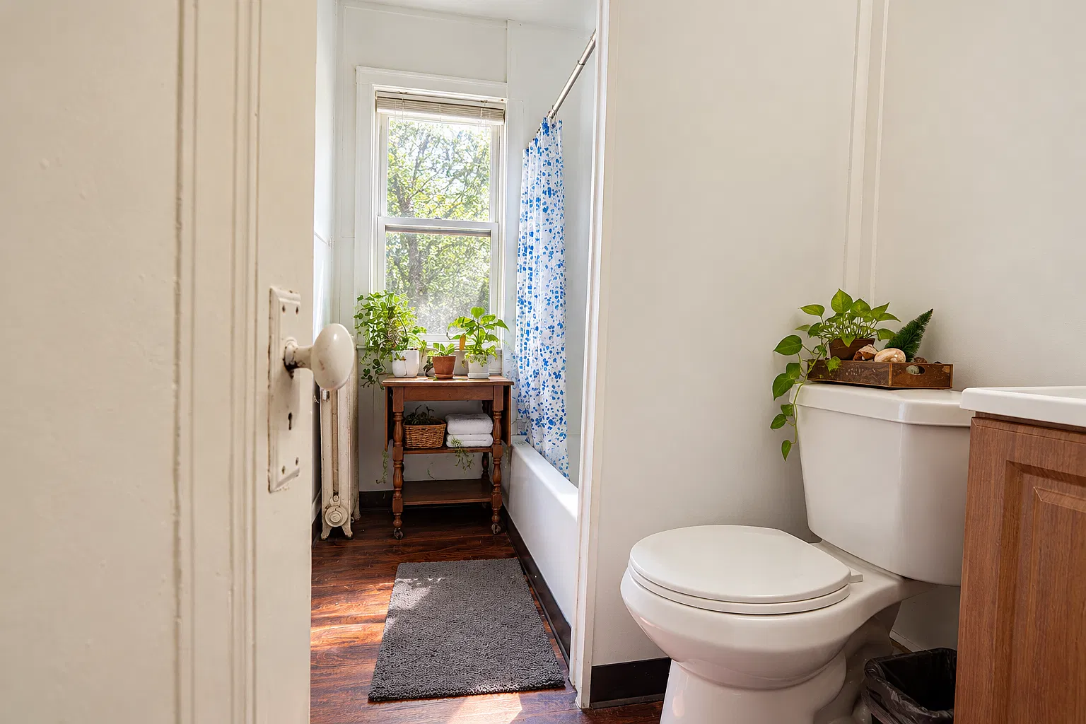 1 bed, $850 — Photo 4