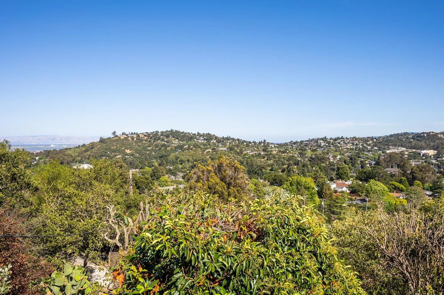 2313 Coronet Blvd photo 1