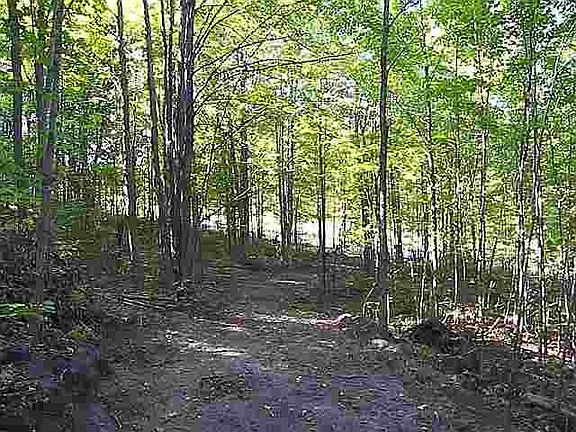 5th image of 00 Fuller Road