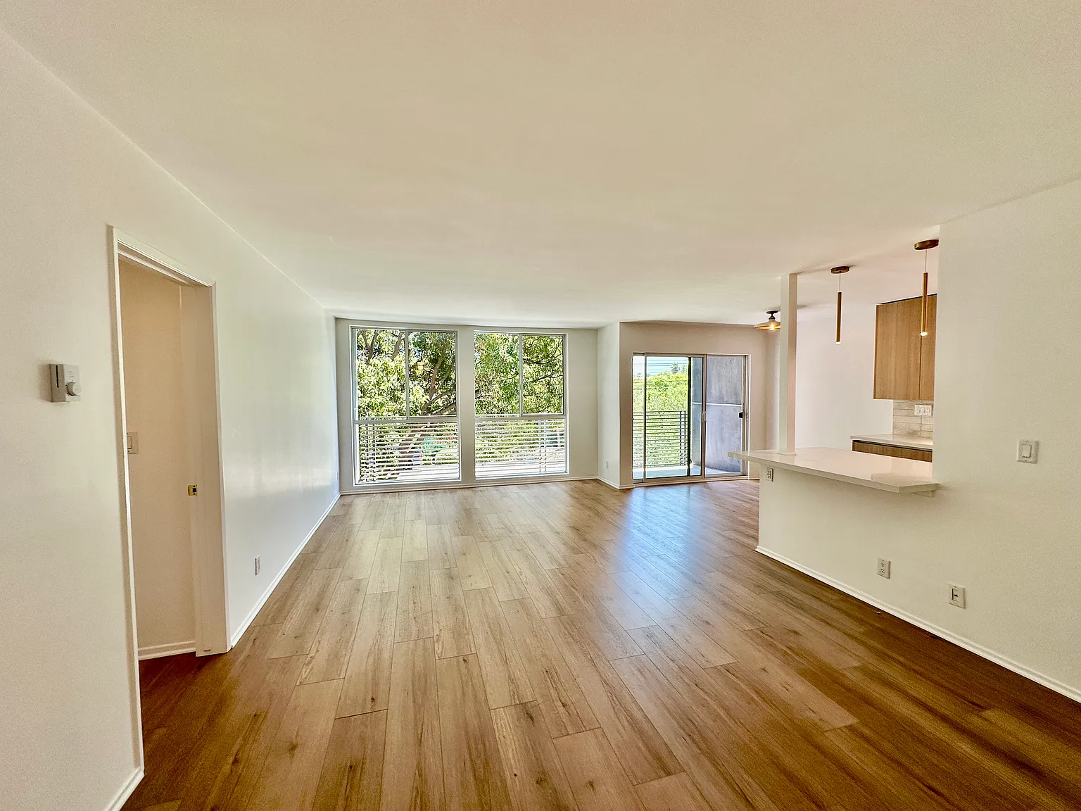 2 bed, 1000 sqft, $5,500 — Photo 3