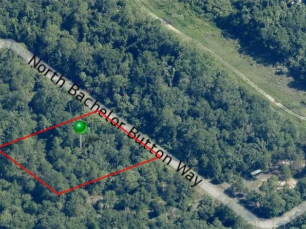 8566 N Bachelor Button Way, Crystal River, FL 34428