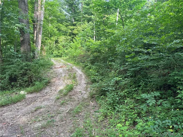 4458 E Bogard Hollow Road, English, IN 47118