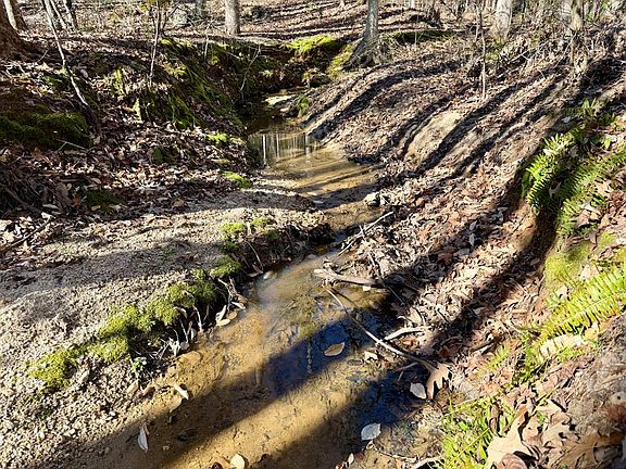 3rd image of 122/124 Lollis Rd