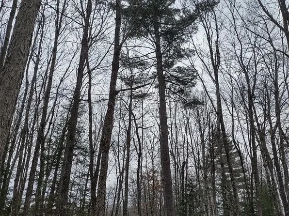 Lot 1 XXX Blaiszik's Bay Lane, Hayward, WI 54843