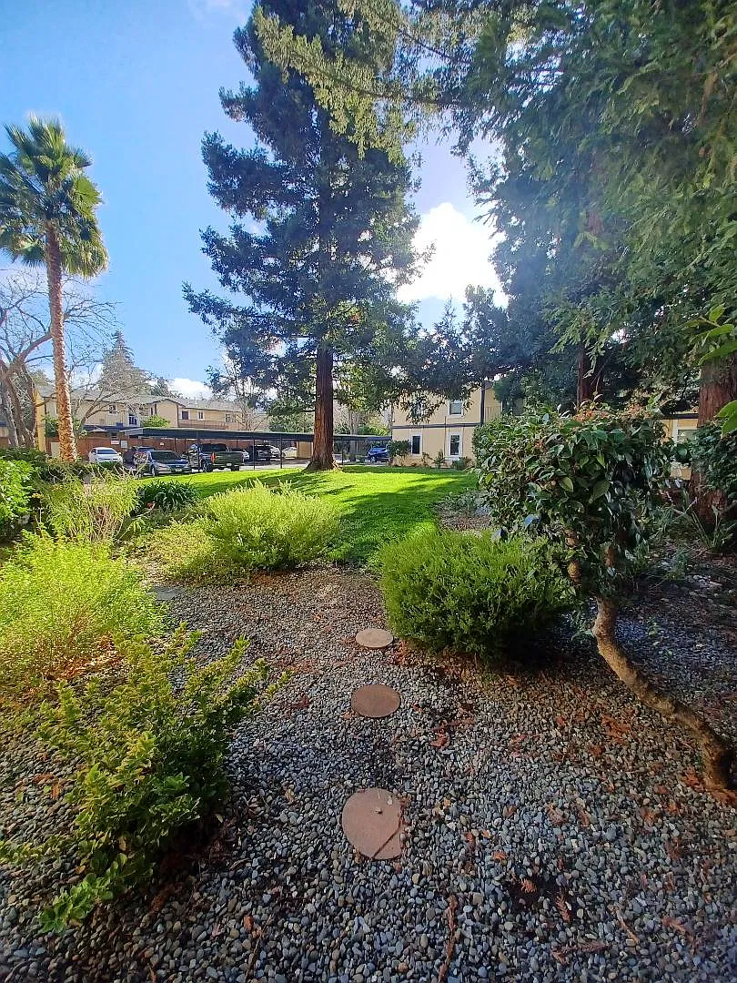 3 bed, 1056 sqft, $2,950 — Photo 3
