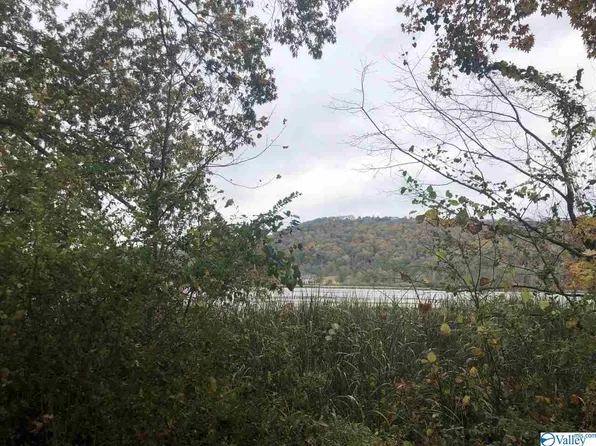 LOT 5 State Highway 79 S, Guntersville, AL 35976