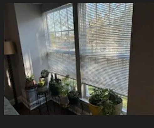 4278 Maple Path Cir — Photo 24