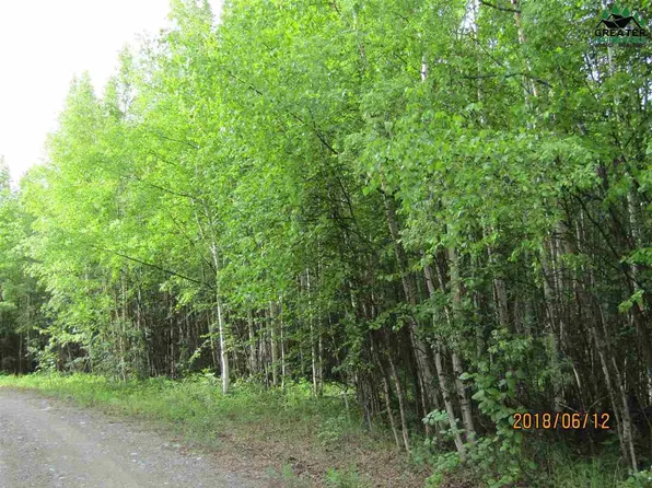 L1 Mitchell Pl, Delta Junction, AK 99737