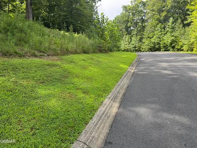 LOT 11 Cove Springs Dr, Dandridge, TN, 37725
