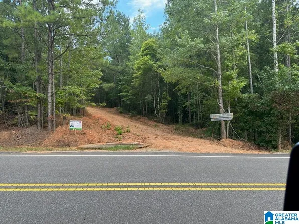 26131 State Highway 22 #1, Rockford, AL 35136