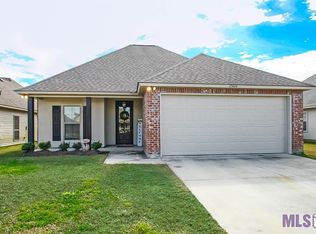 25404 White Lake Ave, Livingston, LA 70754