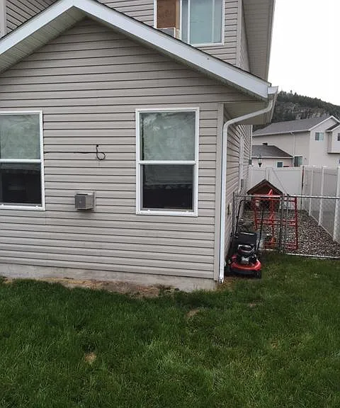 backyard / dog kennel run area