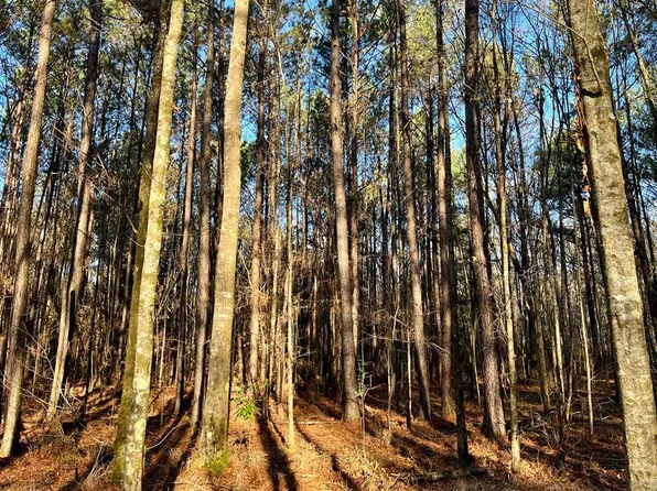 0 Meadville Rd, Liberty, MS 39645