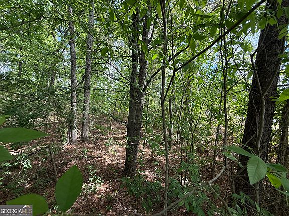 4th image of 1868 Cedar Grove Rd